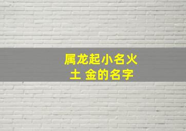 属龙起小名火 土 金的名字